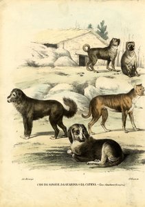 犬、1863-79